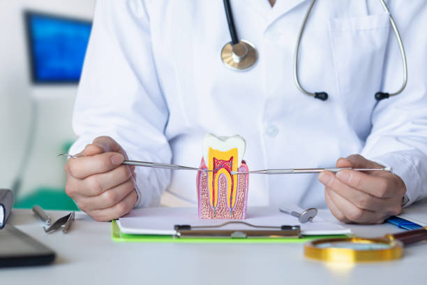 Best Emergency TMJ Treatment in Scobey, MT